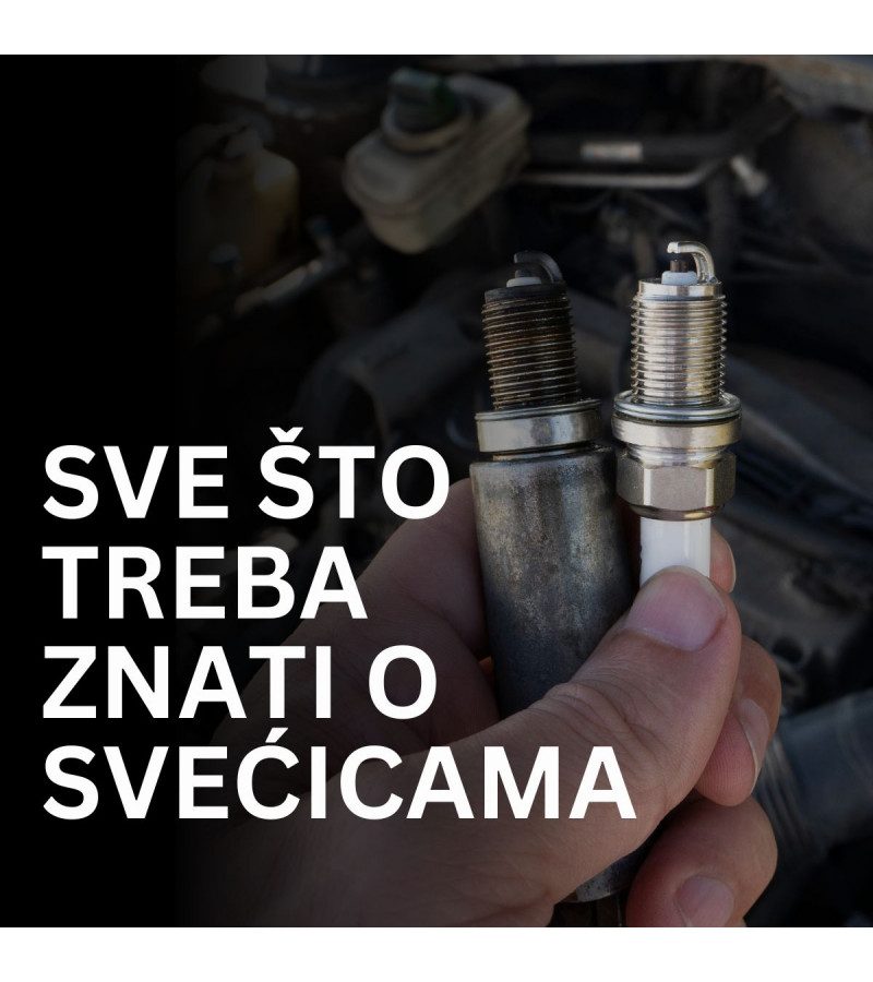 SVE ŠTO TREBA ZNATI O SVEĆICAMA