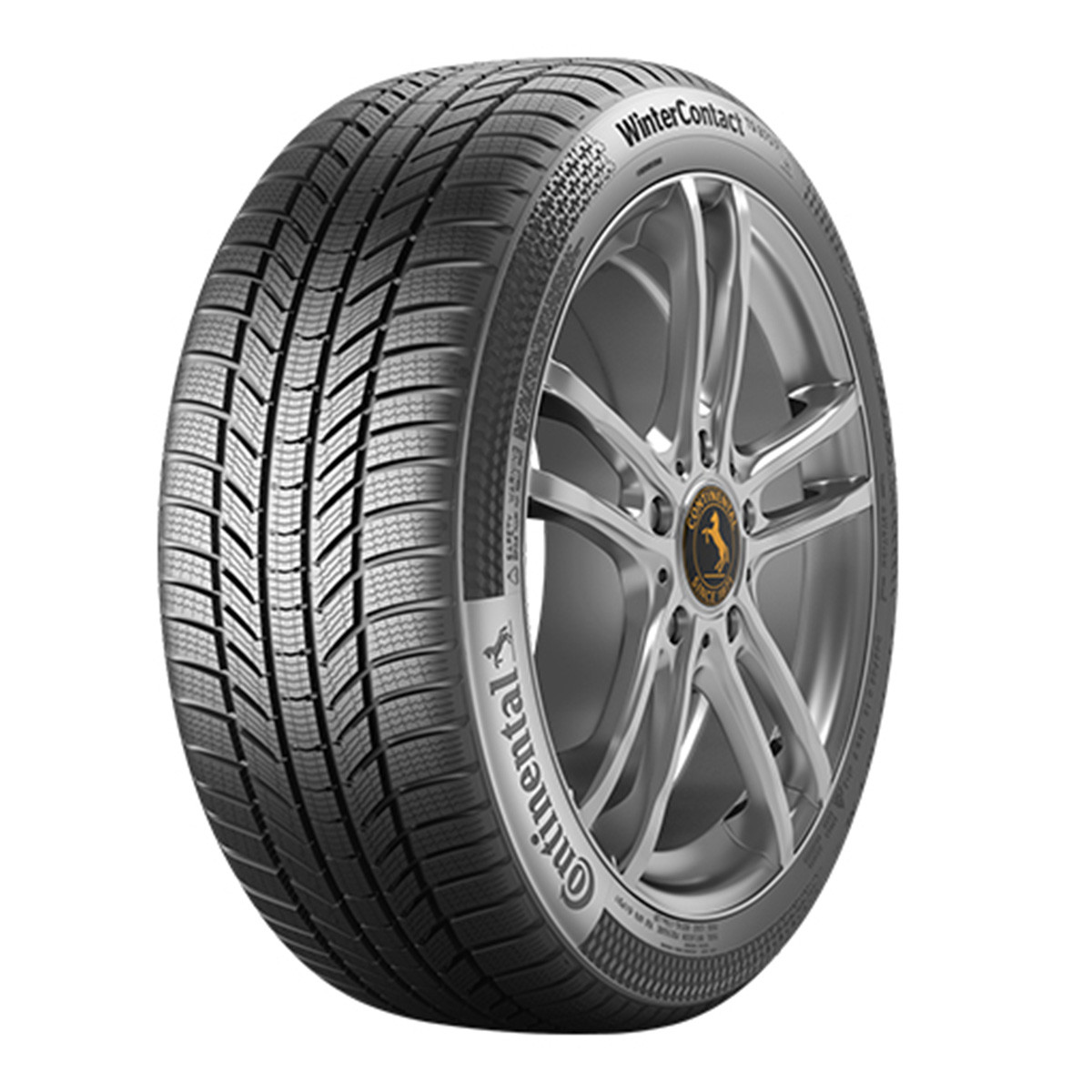 CONTI 255/40X18 99V XL WINTERCONTACT TS 860 S SSR * CC73 